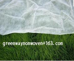 weed control Fabric