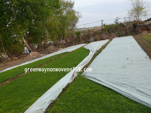 Landscape Nonwoven Fabric