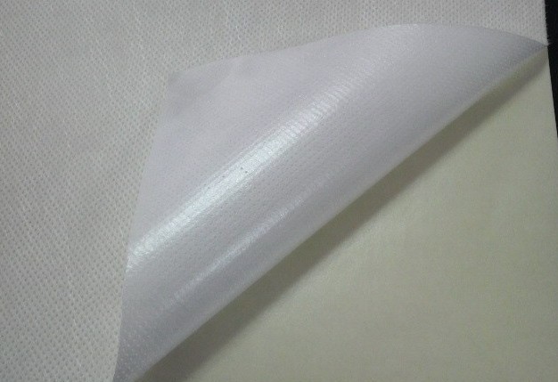 Coated PET  Nonwoven 