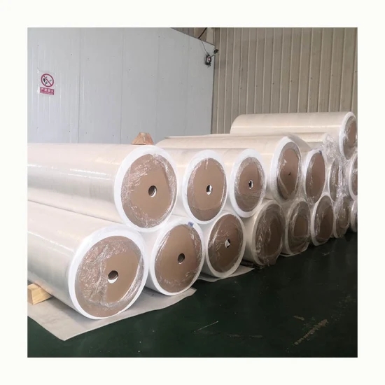 Polyester Nonwoven